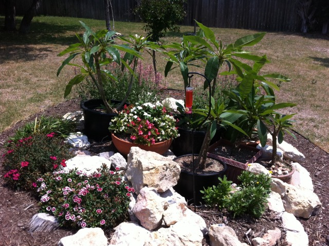 2011-05-24-Janeen's TBI-40.jpg